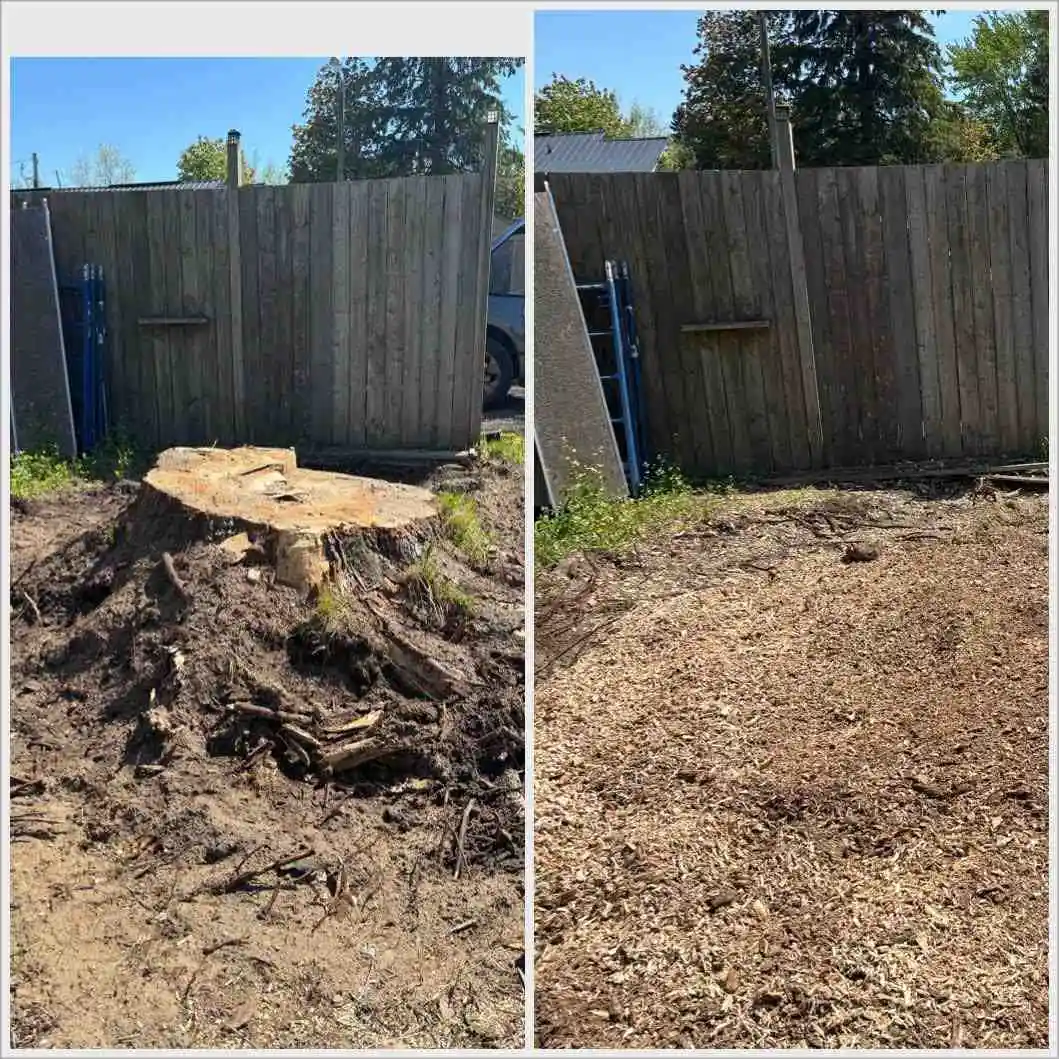 Yard restored after stump removal
