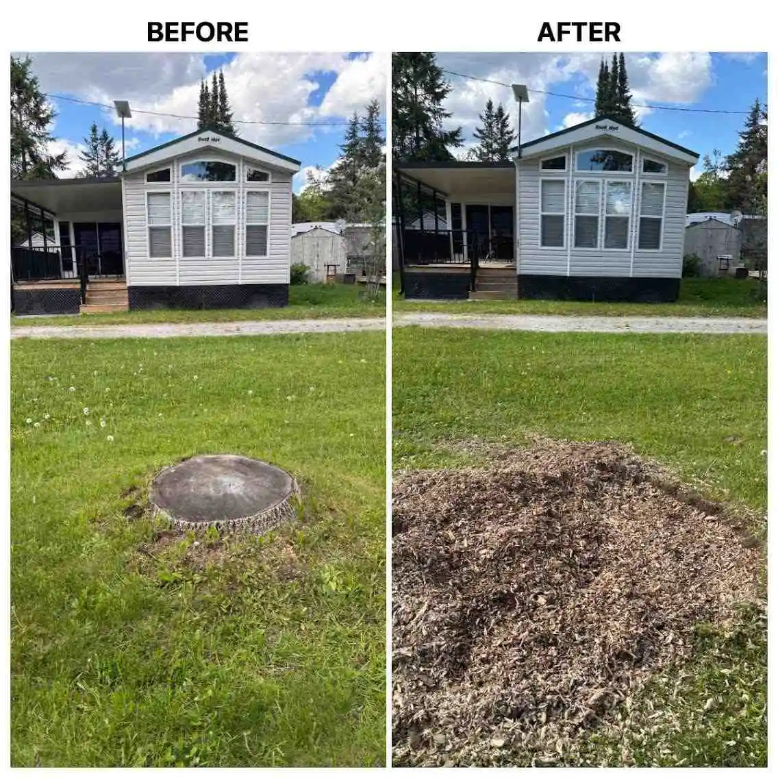 Before and after stump grinding in Durham Region