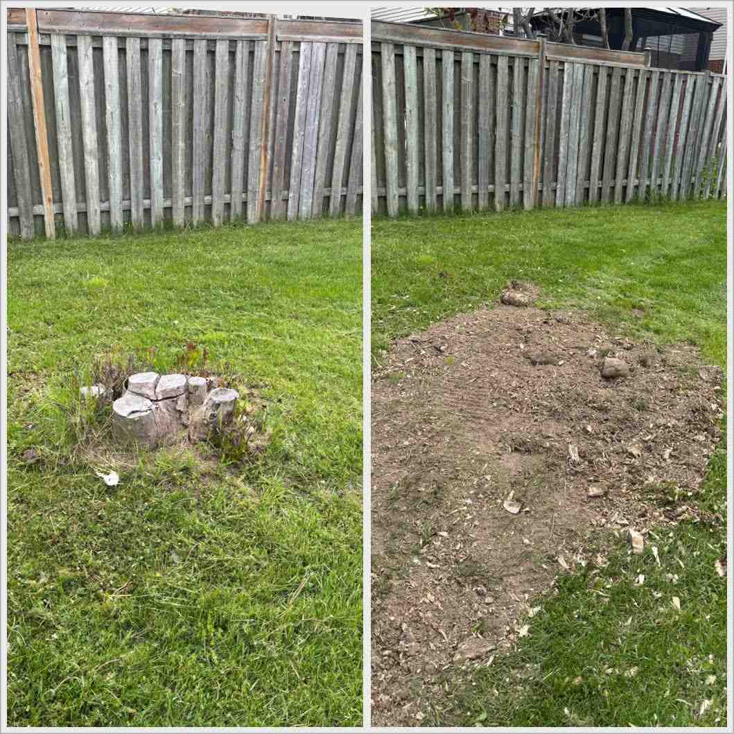 Front yard stump grinding before and after