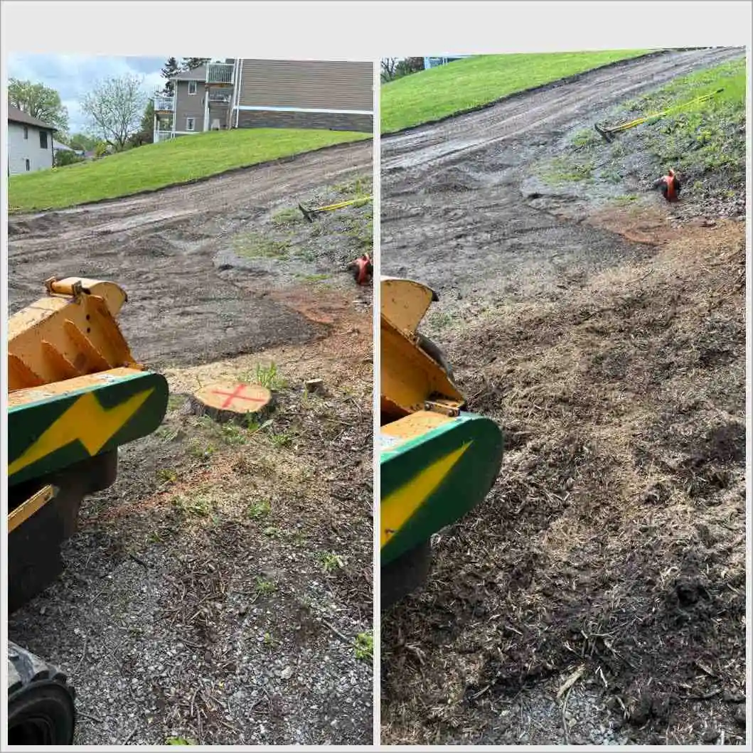 Stump grinding transformation in Port Hope area