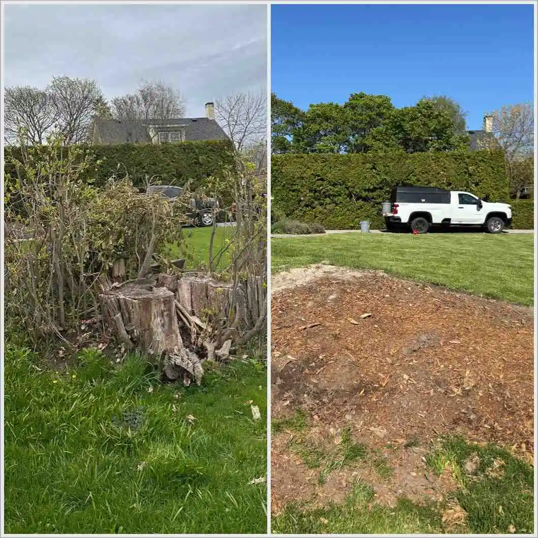 Tree stump removed from lawn