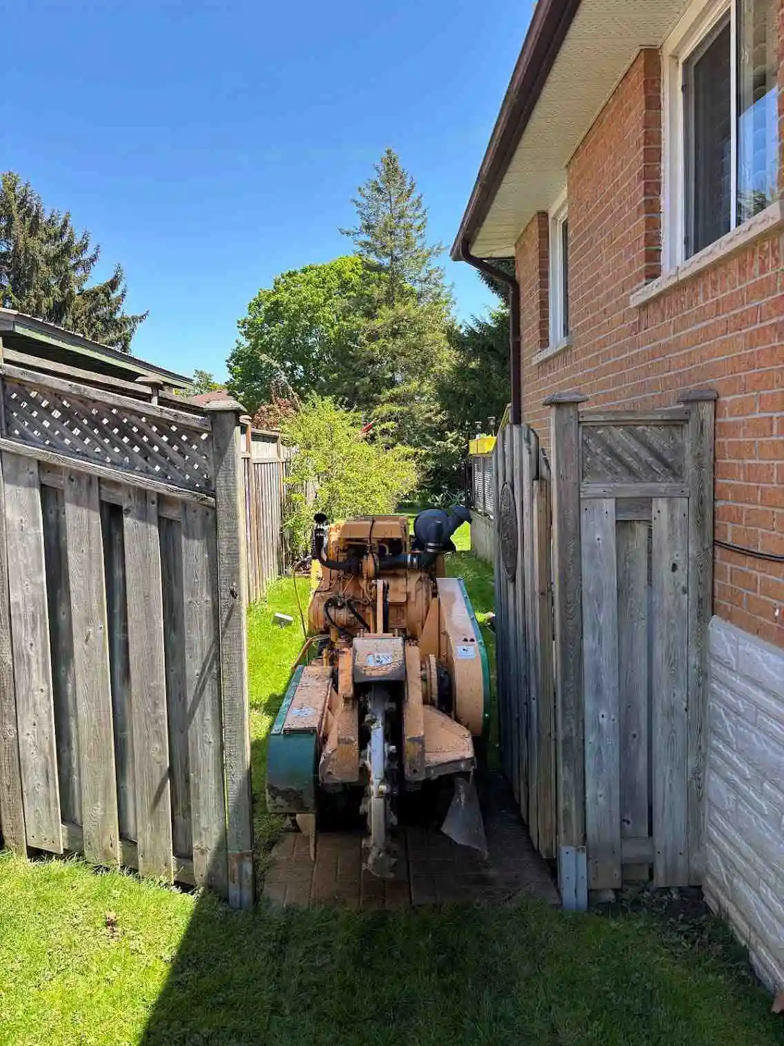 Lightning Stump Removal job in Central Ontario
