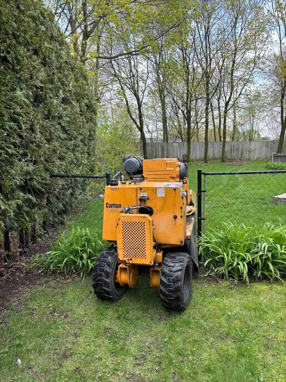 Lightning Stump Removal job in Central Ontario