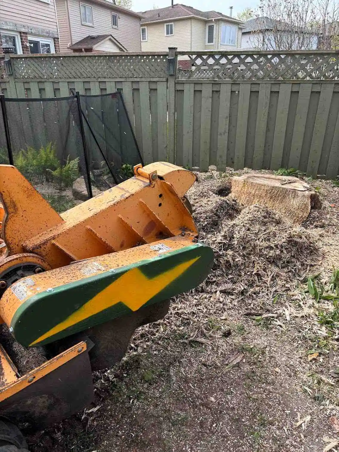 Carlton 7015 stump grinder on a job in Central Ontario