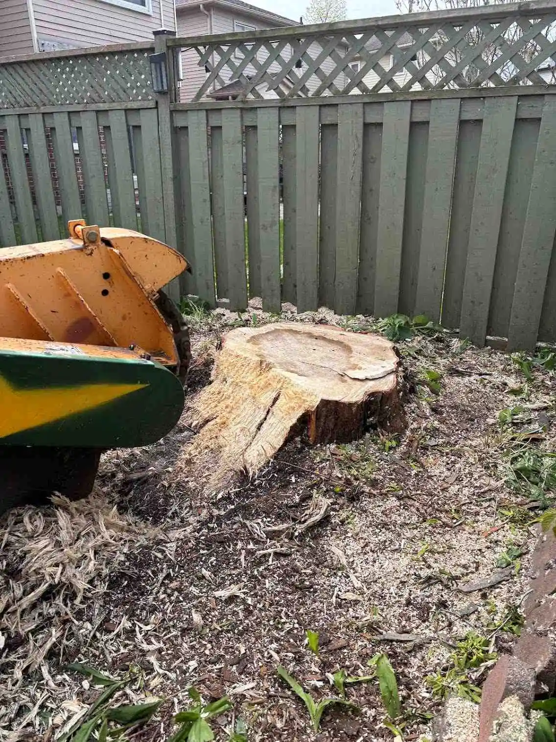 Stump grinder on site in Central Ontario
