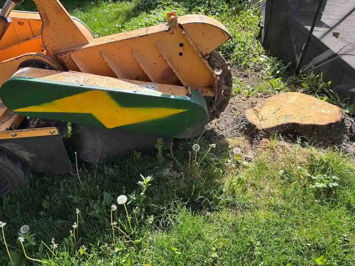 Professional stump grinding equipment on site